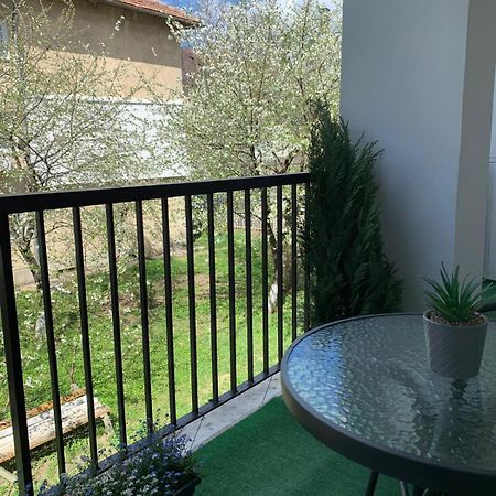 Rose Apartment Piatra Neamţ Exteriér fotografie