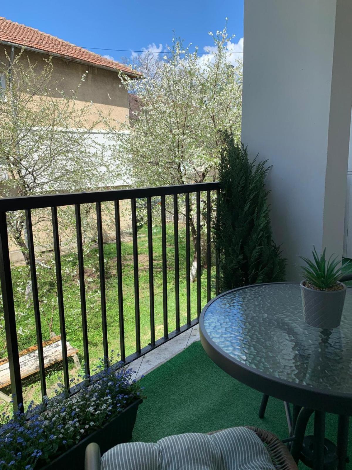 Rose Apartment Piatra Neamţ Exteriér fotografie