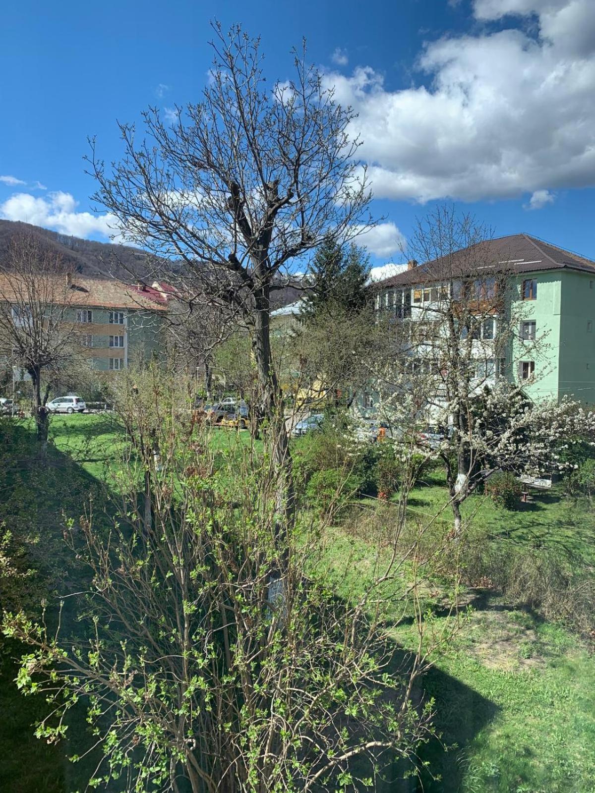 Rose Apartment Piatra Neamţ Exteriér fotografie